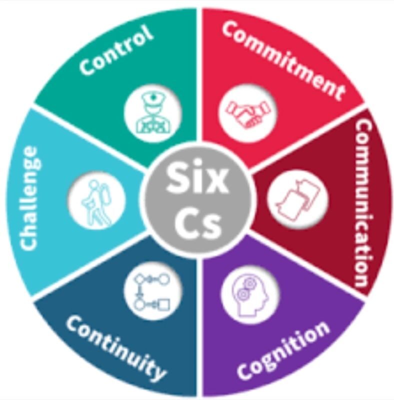 Résumé du Webinaire axé sur la “Sensibilisation au protocole des 1ers secours psychologiques d’urgence le 6C/SIXC